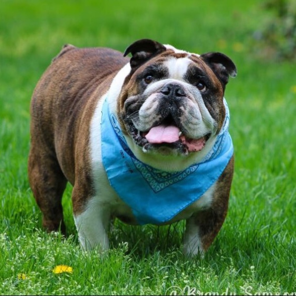 Meet your Posher, Shaina